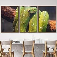 3 Piece Framed Canvas Wall Art Snakes Canvas Prints Home Artwork Decoration for Living Room,Bedroom - 16