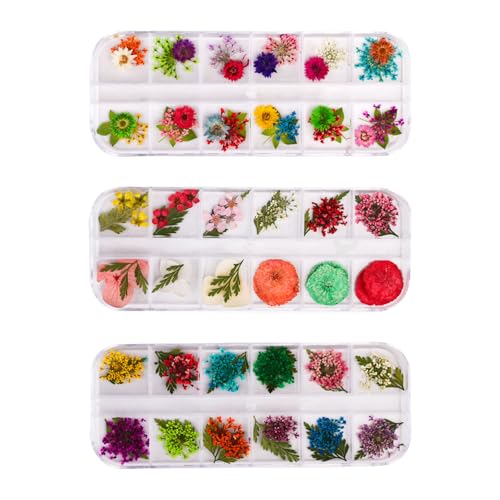 3 {bNX̃pbNi`ԃlCA[g}jLApilChCt[RNV