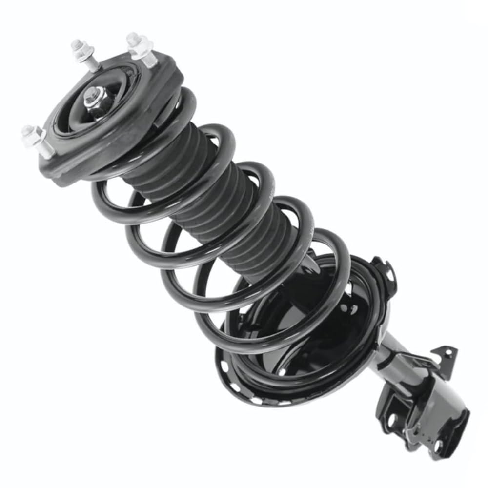 ＳＥＶ ＲＵＮＳ　Ｓ　（29） Formula Selva S 29