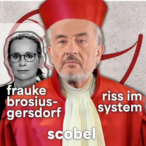 Warum unsere Demokratie in Gefahr ist – scobel cover art