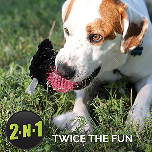 Hyper Pet Bumpy Palz 2-In-1 Interactive Dog Toys, Dog Chew Toys & Dog Puzzle Toy (Plush Dog Toy Exterior & Fun Squeaky Dog Ball Dog Toy Interior For Large Dogs, Medium Dogs & Small Dogs) Black Cat #TOP4