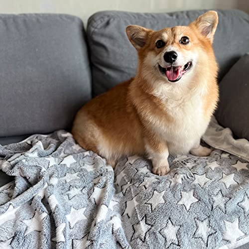 Image of 1 Pack 3 Puppy Blankets Cat Dog Blankets Super Soft Warm Sleep Mat Grey Star Cute Print Blanket Fluffy Fleece Pet Blanket Flannel Throw for Small Dogs Puppy Dogs Cats Large(40 inchx30 inch)