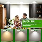 Jaenmsa B0C7VL7VD4 lato 4