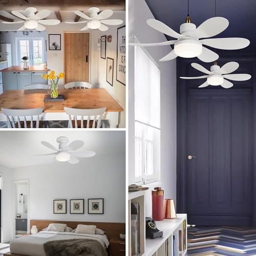 Redstar LED E26/E27 BASE FAN LIGHT 3 Pack E26/E27 Base Fan Light, Cordless/Wireless With 20 Inch Ceiling Fan With Light, Replacement For Restaurants, Aisles, Halls, Porch, Cloakrooms thumb #1