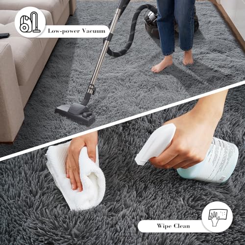 Fluffy Rug Shaggy Area Rug, Dark Grey 2x4 Area Rugs for Bedroom, Small Bedside Rug, Soft Fluffy Shaggy Entryway Throw Rugs for Living Room Bedroom Kids Room Home Decor