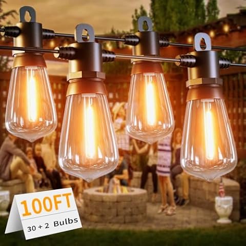LONIUTO 100FT Outdoor Festoon Lights with LED Bulbs Cover