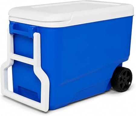 Amazon.com: ドメティック クーラーボックス パトロールアイスボックス55L