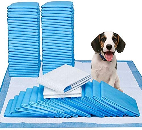 Pet Guard Dog Training Pads/Training Pee and Potty Pads with Quick Drying Surface and Absorbent Core/Suitable for Small/Large Breed Puppies /40Count/Size: XL 60cmx 90 cm (L-60 cm X W- 90 cm) - Blue (B09HKRWTWD) Amazon Price History, Amazon Price Tracker