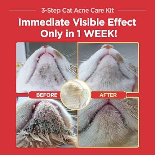 JAYU PET 3-Step Cat Acne Care Kit - Hypoallergenic Cleanser for Feline Acne, Cat Black Chin(1EA) Double-Sided Pads, Cat Acne Chin Wipes(30PCS) Soft Grooming Cat Acne Silicone Brush(1EA)