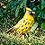 TERESA'S COLLECTIONS Cardinal Garden Decor Yellow Bird for Outside,8Inch Metal Garden Sculptures & Statues for Outdoor Decor,Gifts for Dad/Mom/Grandma/Wife/Daughter/Aunt,Birthday Gifts for Man Father