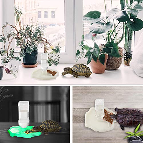 Furpaw Distributore di Acqua per Rettili