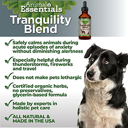 Is It Safe To Sedate A Dog For Travel