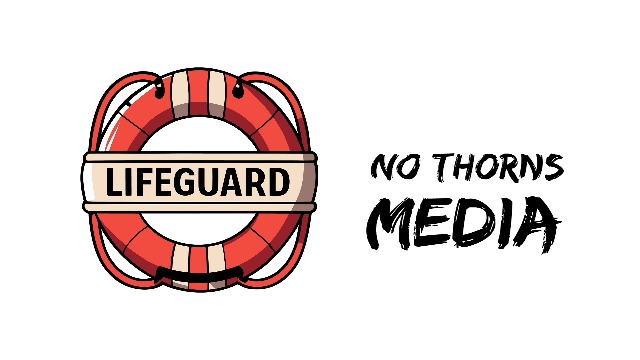 Amazon.com: Lifeguard Sticker 4 Inch Beach Rescue Swim Lifesaver