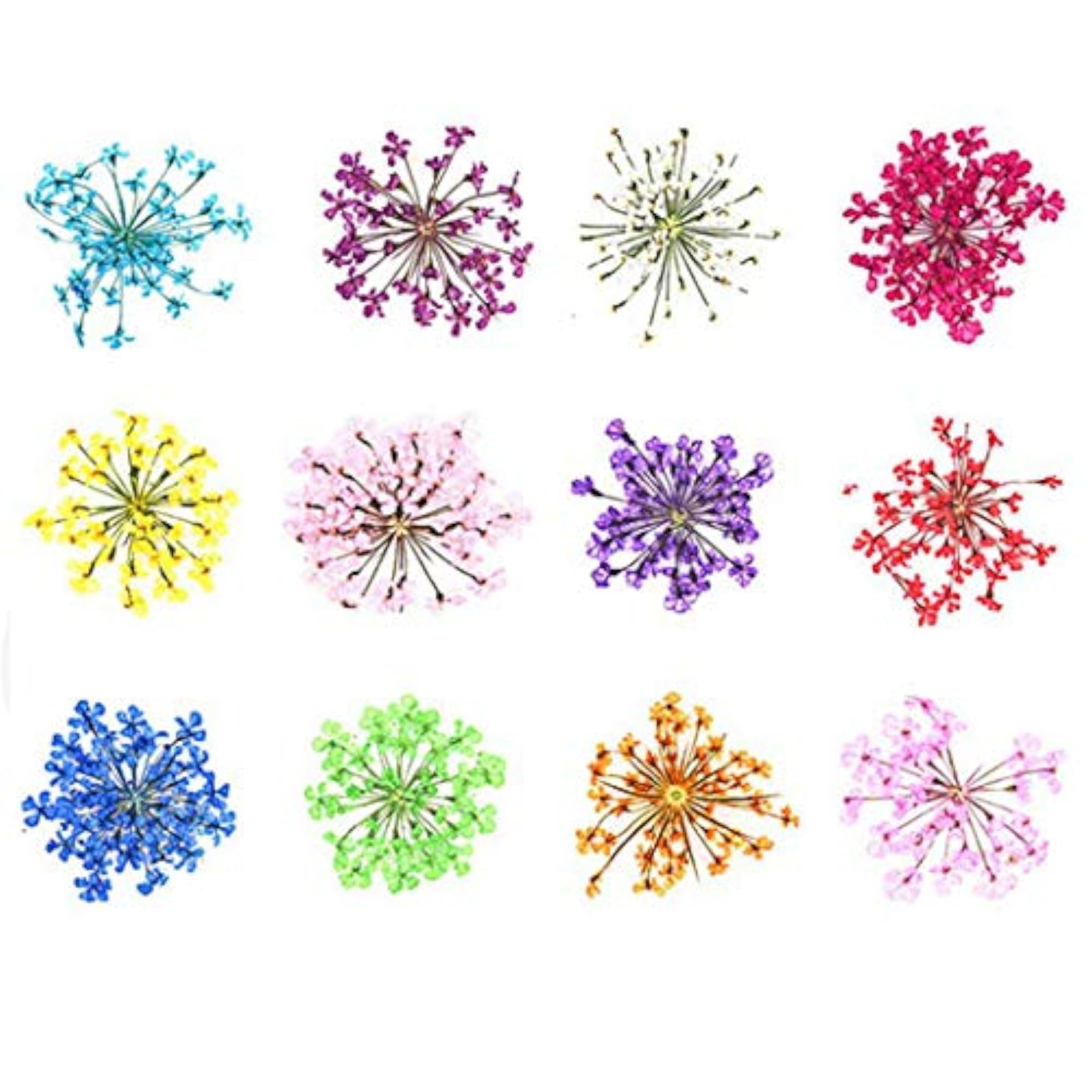 Pressed Flowers Multifunctional DIY Art Craft Materials