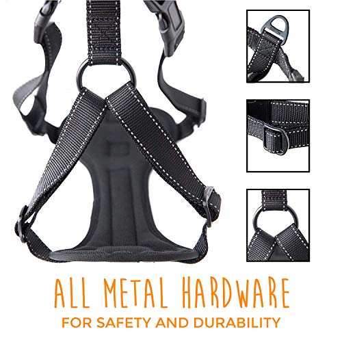 Mighty Paw Vehicle Safety Harness
