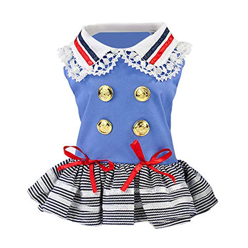shih tzu in a dress