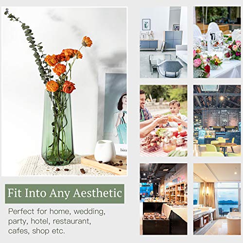 Luxspire Glass Vase, Ins Style Gold Tone Mouth Crystal Clear Floral Flower Plant Decorative Container Vase for Home Office Desk Decoration, Ideal Gifts for Birthday Wedding Housewarming - Green - Afbeelding 6