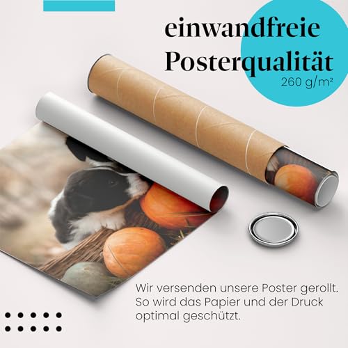 Postereck - 3776 - Hundewelpen, Tier Hund Kürbis Geschwister Natur - Wandposter Fotoposter Bilder Wandbild Wandbilder - Poster - DIN A4-21,0 cm x 29,7 cm