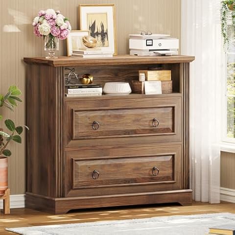 Itaar 2 Drawer File Cabinet Cover