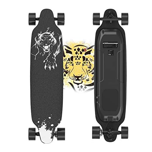 Electric Skateboard, 400W Brushless Motor Electric Skateboard with Remote, 20 MPH & 10 Miles Long-Range, 3 Speeds Adjustment, Max Load 265 lbs, Creative Version 11 Layers Maple Electric Skateboard