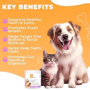 Cat-Dog-Teeth-Cleaning-Powder-Dog-Breath-Freshener-Perfect-for-Dog-Bad-Breath-Treatment-Plaque-Off-Tartar-Remover-Pure-Clean-Pet-Dental-Care-30-Scoops - Cucciolini Doodles   Cat-Dog-Teeth-Cleaning-Powder-Dog-Breath-Freshener-Perfect-for-Dog-Bad-Breath-Treatment-Plaque-Off-Tartar-Remover-Pure-Clean-Pet-Dental-Care-30-Scoops