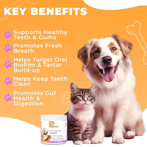 Cat-Dog-Teeth-Cleaning-Powder-Dog-Breath-Freshener-Perfect-for-Dog-Bad-Breath-Treatment-Plaque-Off-Tartar-Remover-Pure-Clean-Pet-Dental-Care-30-Scoops - Cucciolini Doodles   Cat-Dog-Teeth-Cleaning-Powder-Dog-Breath-Freshener-Perfect-for-Dog-Bad-Breath-Treatment-Plaque-Off-Tartar-Remover-Pure-Clean-Pet-Dental-Care-30-Scoops