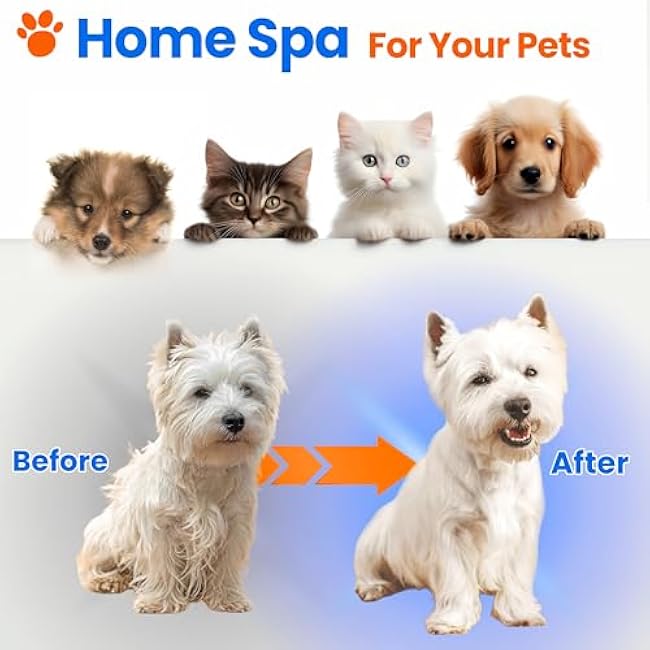 Pet Steam Brush For Cat & Dog - Pets Spray Hair Removal Comb - Cats Indoor Shedding & Grooming Mist Tool - Water Steamer Brushes for Long & Short Haired Dogs - Spritz Defur Comb (White Pro)-2KZauuCP