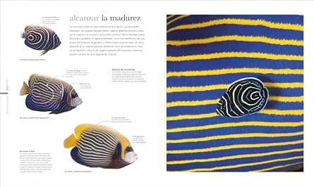 Fauna (nueva edición): El mundo secreto de los animales (Enciclopedia visual)