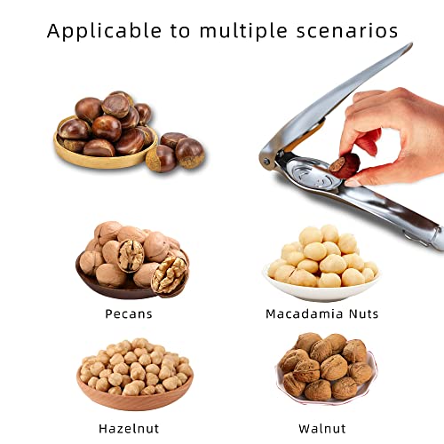 Chestnut Opener, TJ POP Stainless Steel Chestnut Cracker, Multifunctional Walnut Opener Kitchen Tool - Image 6