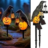 Dazzle Bright 2 Pack Halloween Crow Pathway Lights Outdoor, Solar Powered Resin Crow with Pumpkin Walkway Lights, Stake Light for Halloween Pathway Garden Lawn Yard Gifts Decoration