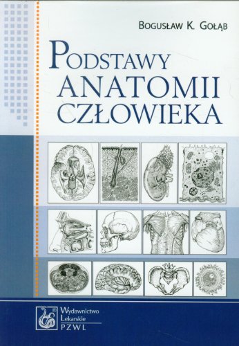 Podstawy anatomii czlowieka