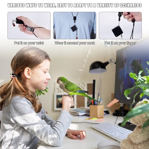 Einziehbar Vogel Leine, 2m Vogel Geschirr mit 3 Fußringen Sittich Fluggeschirr Papageien Leine Outdoor Flugtrainingsset für Nymphensittiche Wellensittiche Sittiche (Schwarz)