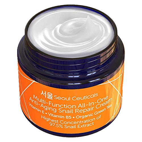Korean Skin Care Snail Repair Cream