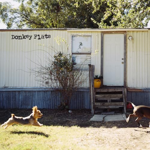 Dexter and The Moonrocks