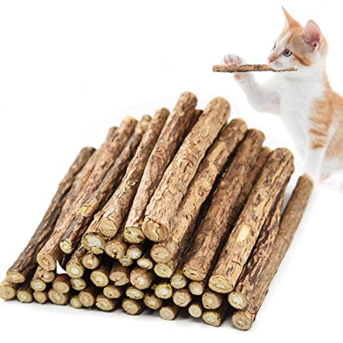 40 Stück Katzenminze Sticks, Matatabi Katzen Kauhölzer, Matatabi-Kausticks als Katzenspielzeug, Katzenminze Sticks zum Schleifen von Zähnen, natürlich