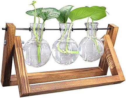 DEDC 1 pz Pianta da Tavolo Terrario Vaso per Fioriera in Vetro con Supporto retrò in Legno Massiccio e Supporto Girevole in Metallo per Piante Idroponiche Decorazione Casa Ufficio Giardino C
