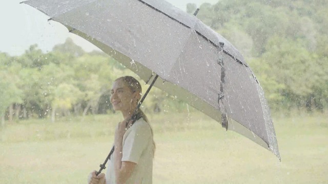 Amazon.com : LANBRELLA Golf Umbrella Extra Large Oversize 80 Inch