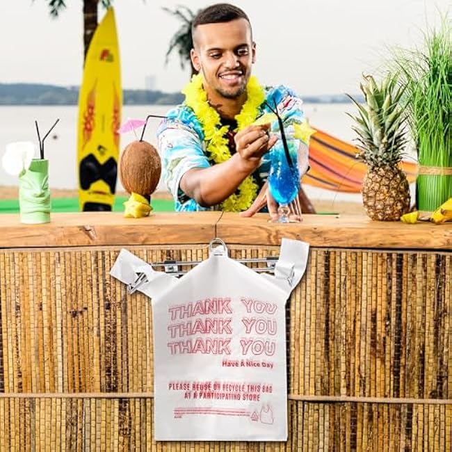 Lounsweer Chrome Plastic Grocery Bag Hanging Holder