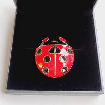 Amazon.co.jp: ジョジョの奇妙な冒険 ジョルノブローチ ジョジョ