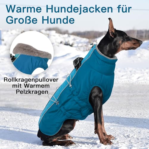Katzinst Hunde Wintermantel Wasserbeständig, Verstellbarer Halsausschnitt, Hundemantel mit Geschirr und Durch Verstellbare Gummizüge, Hundebekleidung für Mittlere Hunde, Cocker Spaniel, Grün, M