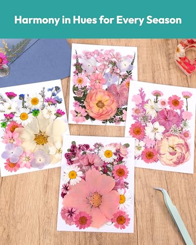 Image of Dried Flowers, Resiners 100Pcs Pressed Flowers for Craft Baby Pink Real Natural Dried Flowers Dry Leaves Kit for DIY Making Crafts Resin Soap Candle Scrapbook Supplies Card Making Jewelry