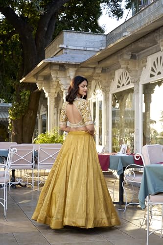 Image of LooknBook Art Womens Women Lehenga Choli