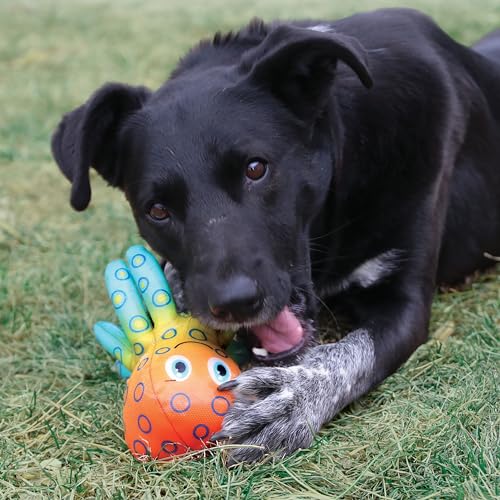 Pet Lou 00836 Medium Plush Dog Chew Toy, 8-Inch Mallard Duck
