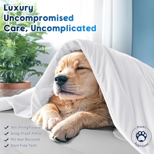 Image of Cooling Blanket for Hot Sleepers & Night Sweats - Cooling Comforter, Breathable Lightweight Double-Sided Summer Bedding, Breathable Soft All Season (Arctic White, Queen(90 inchx90 inch))