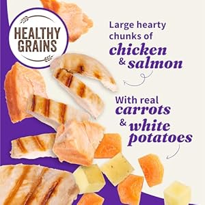 Halo-Elevate-Wet-Dog-Food-Kettle-Cooked-Chunky-Healthy-Grains-Chicken-Salmon-Stew-with-Carrots-White-Potatoes-and-Brown-Rice-127oz-Pack-of-6 - Cucciolini Doodles   Halo-Elevate-Wet-Dog-Food-Kettle-Cooked-Chunky-Healthy-Grains-Chicken-Salmon-Stew-with-Carrots-White-Potatoes-and-Brown-Rice-127oz-Pack-of-6