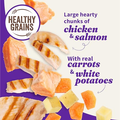 Halo-Elevate-Wet-Dog-Food-Kettle-Cooked-Chunky-Healthy-Grains-Chicken-Salmon-Stew-with-Carrots-White-Potatoes-and-Brown-Rice-127oz-Pack-of-6 - Cucciolini Doodles   Halo-Elevate-Wet-Dog-Food-Kettle-Cooked-Chunky-Healthy-Grains-Chicken-Salmon-Stew-with-Carrots-White-Potatoes-and-Brown-Rice-127oz-Pack-of-6