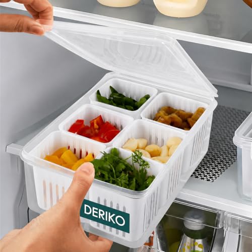Image of DERIKO Airtight Masala Box For Kitchen Masala Container For Kitchen Spice Jars Multi Storage Container For Kitchens Easy Flow Spice Storage Container With Tray Spice Jars - Plastic (6 Grid Container)