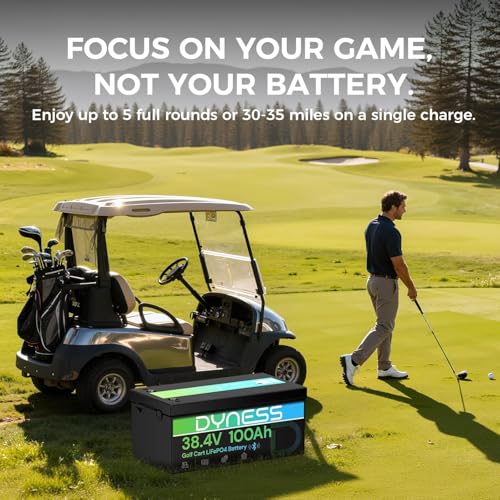 Dyness 36V 100Ah with LCD