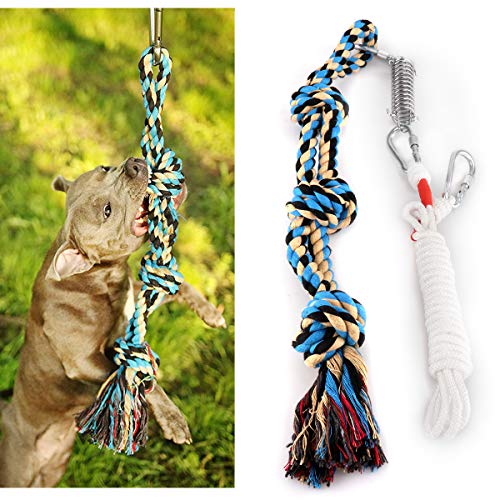 Best Tetherball For Dogs