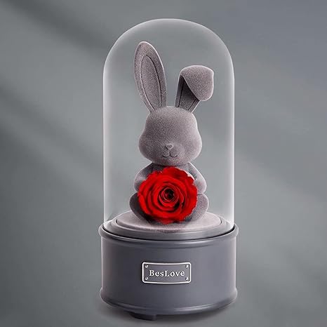 Amazon Co Jp オルゴール 音楽ボックス プリザーブドフラワー バラ 花 回転式 癒しグッズ 置物 飾り かわいい 熊 ロマンチック おしゃれ オブジェ ラブ 恋人 彼女 妻 プロポーズ 告白 プレゼント 誕生日プレゼント 結婚 楽曲 天空の城ラピュタ モデル3 Himeno おもちゃ